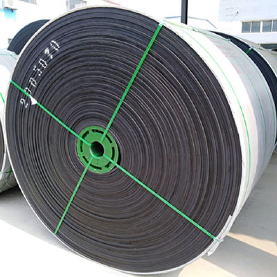 Bandes transporteuses spéciales EP100 EP200 résistantes aux produits chimiques W700mm