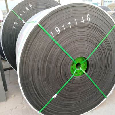 Bandes de conveyeur spéciales résistantes chimiques d'OEM EP200
